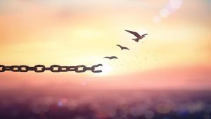 Özgürlük ve Sabır İle İlgili Hikaye