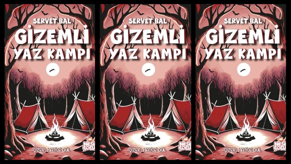 Gizemli Yaz Kampı Özet