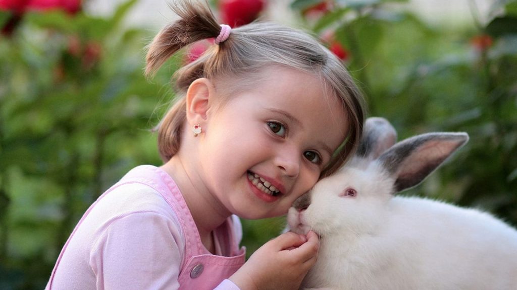 Hayvan Sevgisi Konulu Kompozisyon