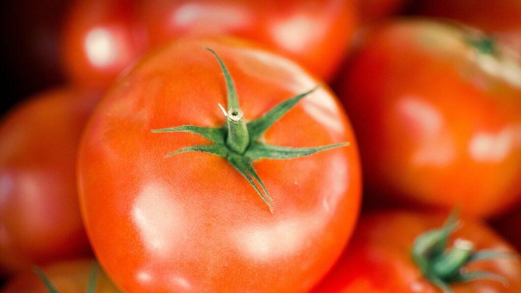 Red fruit usually mistaken for a vegetable