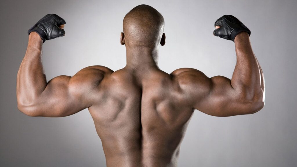 Vücudumuzda boyundan kuyruk sokumuna kadar uzanan üst bölüm