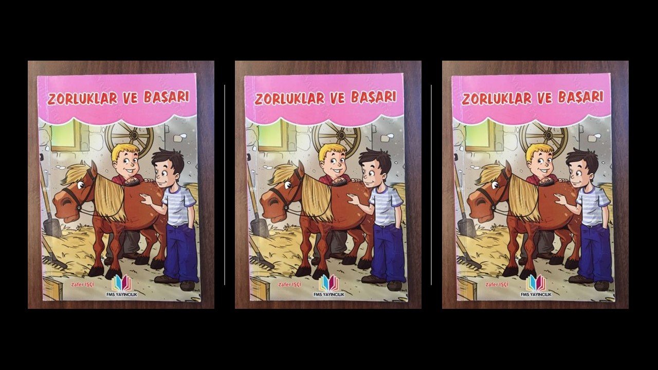 Zorluklar ve Başarı Özet
