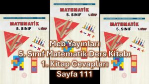 5. Sınıf Matematik Ders Kitabı 1. Kitap Cevapları Meb Yayınları Sayfa 111