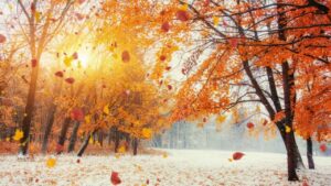 Kış arifesinde bir ay