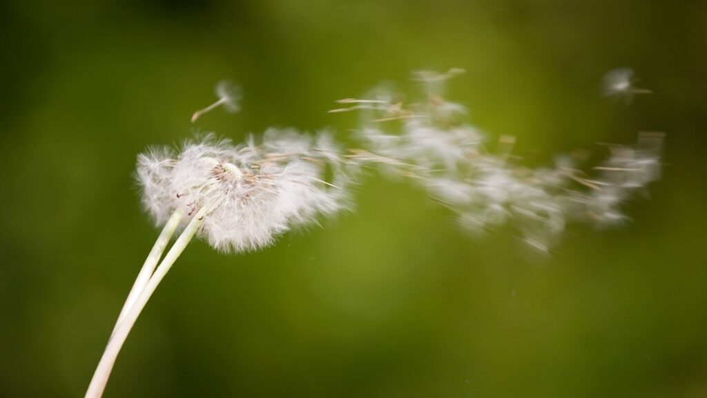 Belli belirsiz hissedilen hafif yel