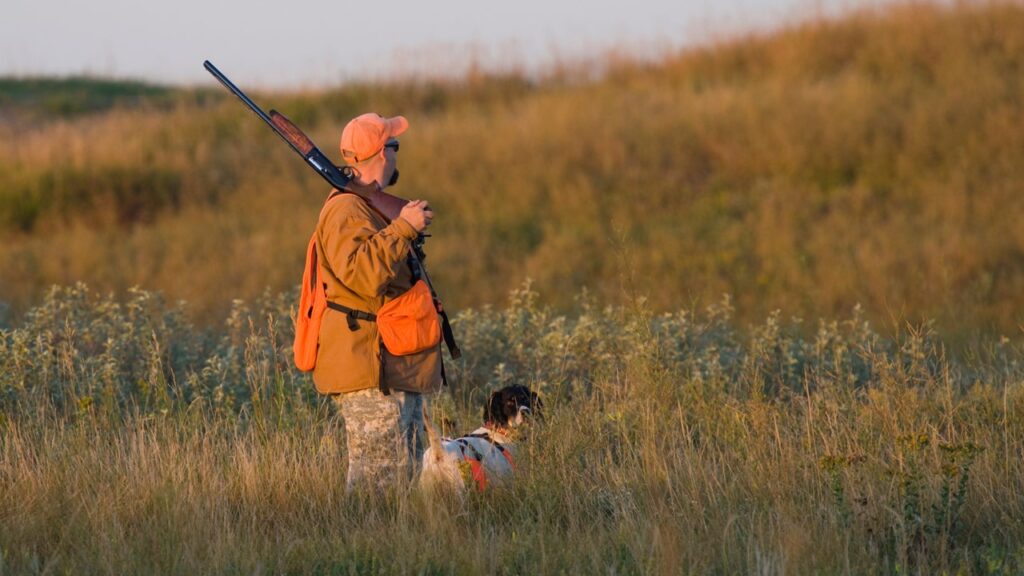 En iyi av tüfeği markası hangisidir?