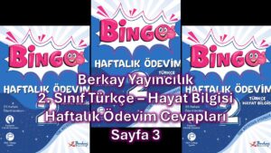 2. Sınıf Bingo Haftalık Ödevim Türkçe Hayat Bilgisi Kitabı Cevapları Berkay Yayıncılık Sayfa 3