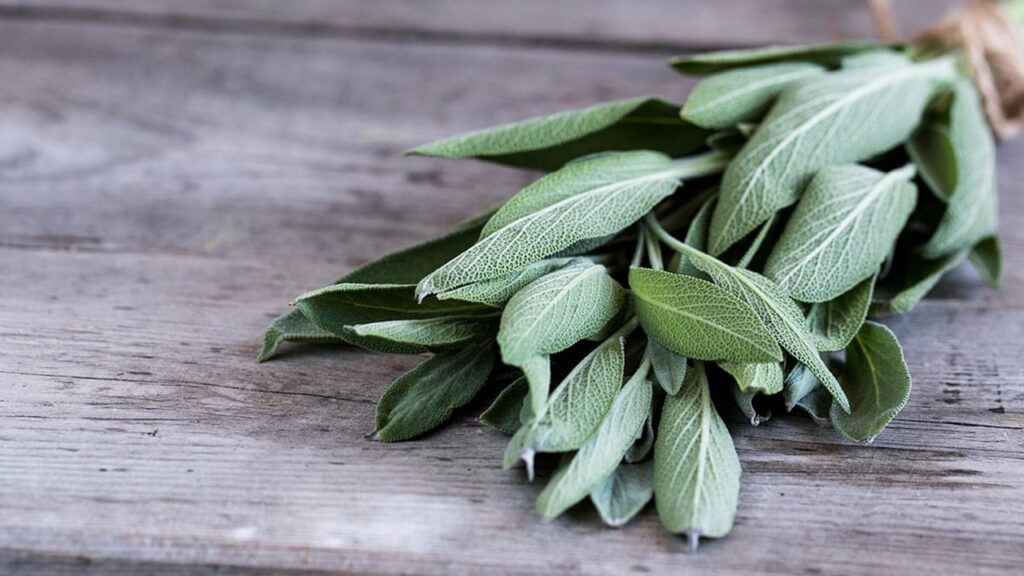 Adaçayı yakmak günah mı?