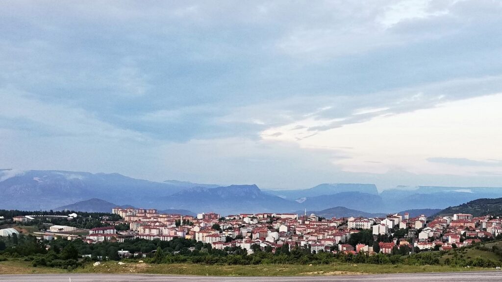 Bilecik iline bağlı bir ilçemiz, aynı zamanda bir ağaç türü