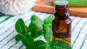 Gaz Giderici Özelliğe Sahip Uçucu Yağlar