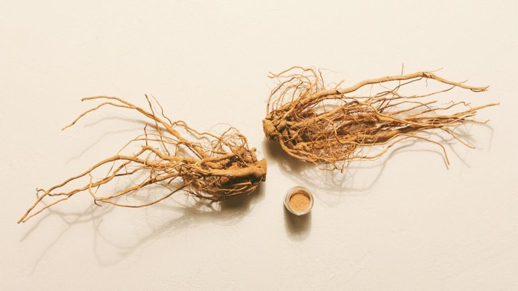 Hormon Düzenleyici Özelliğe Sahip Şifalı Bitkiler