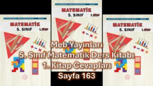 5. Sınıf Matematik Ders Kitabı 1. Kitap Cevapları Meb Yayınları Sayfa 163