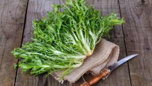 Coisas Verdes (Começando com a letra E)