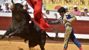 Elinde peleriniyle arenaya giren boğa güreşçisi