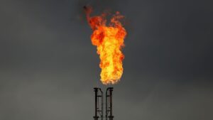 Evleri ısıtmada ve yemek yapmada kullanılan yakıt