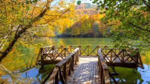 Milli Parklar (Bulmaca)