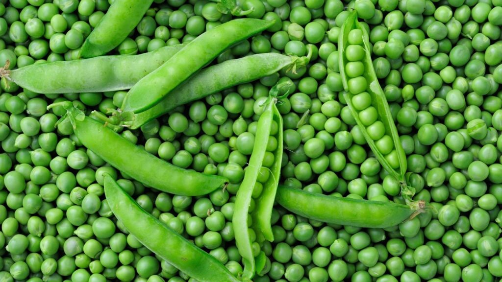 Small, round green vegetable in pods