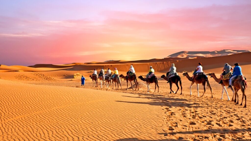Something you can find in a desert