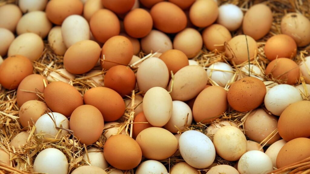 You can’t make omelette without breaking these