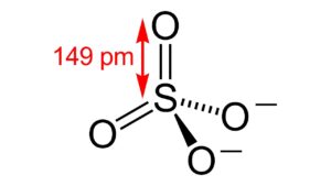 Aşağıdakilerden hangisi hücre zarının yapısında bulunmaz?