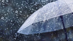 Cloud is my mother. Wind is my father. I come down but never go up. What am I?