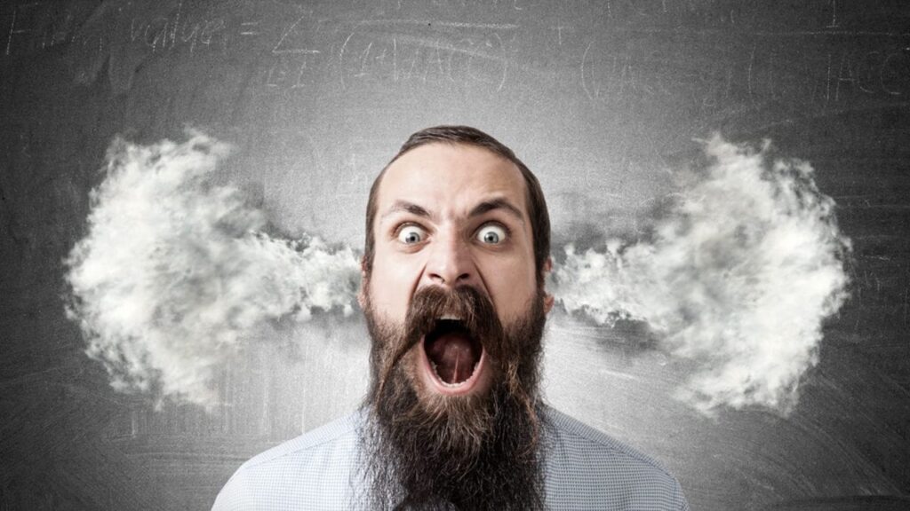 Deli İle Eş Anlamlı Kelimeler