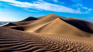 Etwas, das man in einer Wüste finden kann.