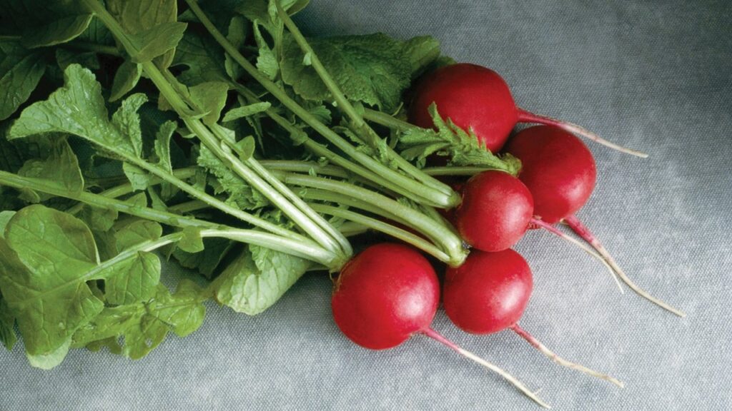 Kırmızı Şeyler (T Harfi İle Başlayan)