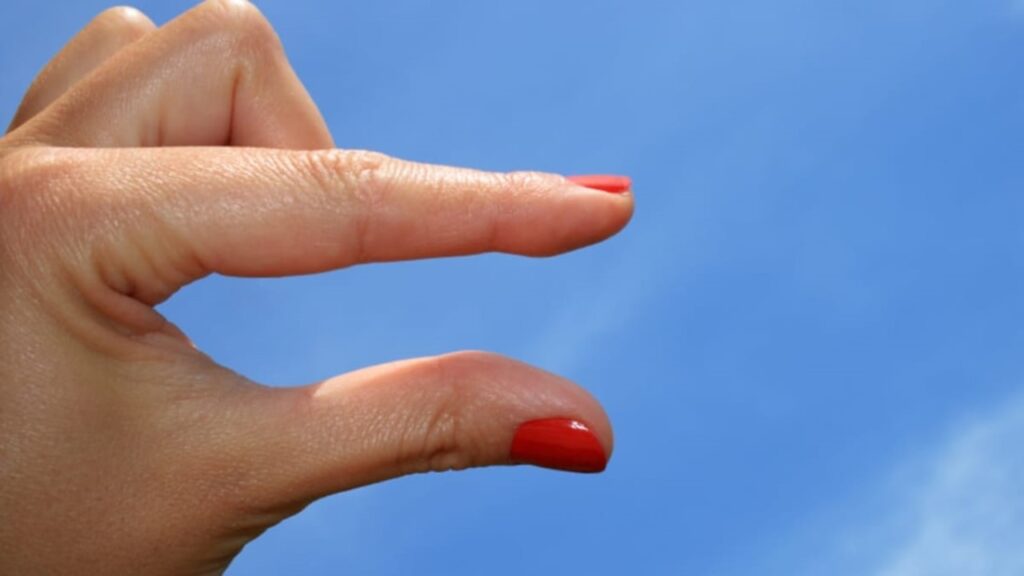 Meu Dragão é … (Começando Com A Letra N)