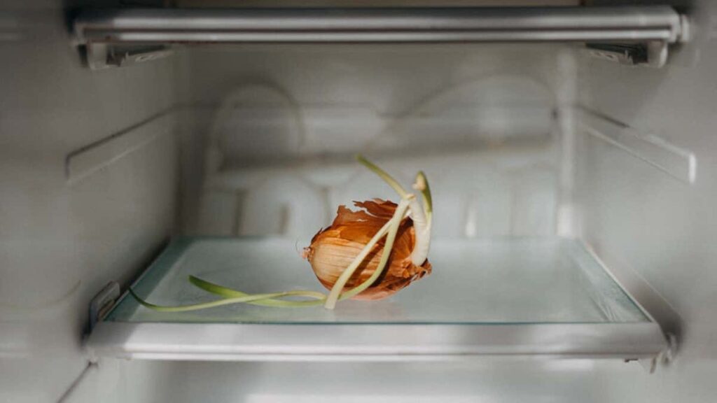 S Harfi İle Başlayan Buzdolabındaki Şeyler, Yapışkan Şeyler, Yerli TV Programları, Baharatlar ve Şifalı Bitkiler, Doğum Günlerine Özgü Şeyler