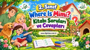 2. Sınıf Where Is Mimi? Kitabı Soruları ve Cevapları
