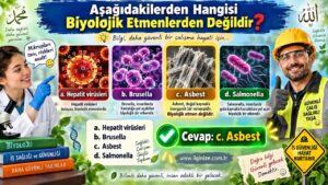 Aşağıdakilerden hangisi biyolojik etmenlerden değildir?