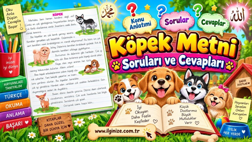 Köpek Metni Soruları ve Cevapları