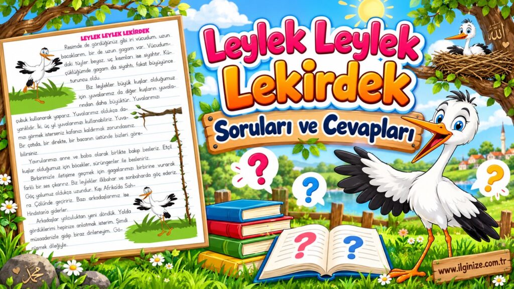 Leylek Leylek Lekirdek Soruları ve Cevapları