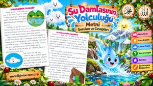 Su Damlasının Yolculuğu Soruları ve Cevapları