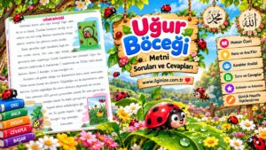 Uğur Böceği Metni Soruları ve Cevapları
